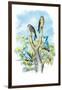 The Sparrow Hawk-Theodore Jasper-Framed Art Print