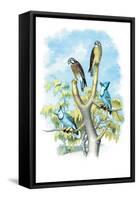 The Sparrow Hawk-Theodore Jasper-Framed Stretched Canvas