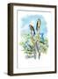 The Sparrow Hawk-Theodore Jasper-Framed Art Print