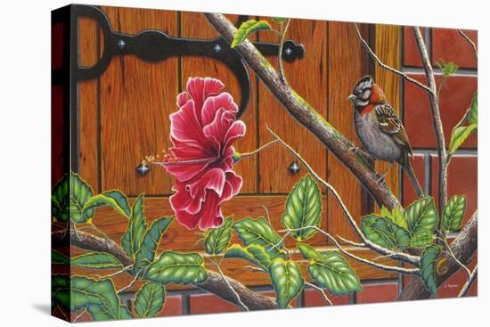 The Sparrow Who Visit Your Window-Luis Aguirre-Stretched Canvas