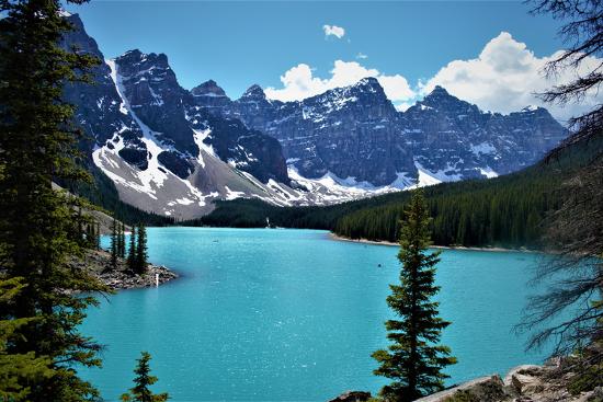Premium Photographic Print, , large