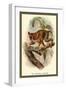 The Spectral Tarsier-Sir William Jardine-Framed Art Print