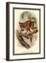 The Spectral Tarsier-Sir William Jardine-Framed Art Print