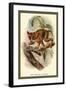 The Spectral Tarsier-Sir William Jardine-Framed Art Print