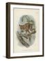 The Spectral Tarsier-null-Framed Giclee Print