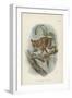 The Spectral Tarsier-null-Framed Giclee Print