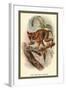 The Spectral Tarsier-Sir William Jardine-Framed Art Print