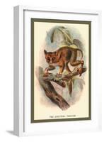 The Spectral Tarsier-Sir William Jardine-Framed Art Print