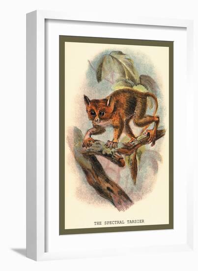 The Spectral Tarsier-Sir William Jardine-Framed Art Print