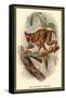 The Spectral Tarsier-Sir William Jardine-Framed Stretched Canvas