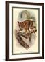 The Spectral Tarsier-Sir William Jardine-Framed Art Print