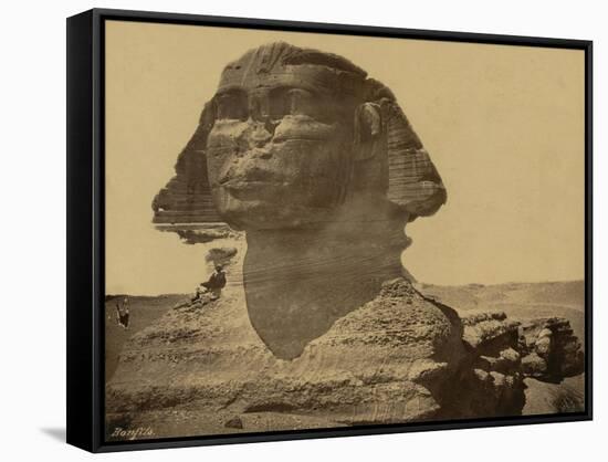 The Sphinx, 19th Century-Science Source-Framed Stretched Canvas