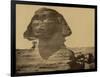 The Sphinx, 19th Century-Science Source-Framed Giclee Print