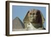 The Sphinx, 4th Dynasty-null-Framed Giclee Print