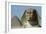 The Sphinx, 4th Dynasty-null-Framed Giclee Print