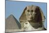 The Sphinx, 4th Dynasty-null-Mounted Giclee Print