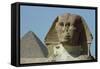 The Sphinx, 4th Dynasty-null-Framed Stretched Canvas