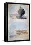 The Sphinx and a Tomb, Egypt, 19th Century-CH Smith-Framed Stretched Canvas