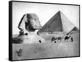 The Sphinx and Pyramid at Giza, Egypt, C1882-null-Framed Stretched Canvas