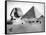 The Sphinx and Pyramid at Giza, Egypt, C1882-null-Framed Stretched Canvas