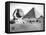 The Sphinx and Pyramid at Giza, Egypt, C1882-null-Framed Stretched Canvas