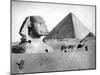 The Sphinx and Pyramid at Giza, Egypt, C1882-null-Mounted Giclee Print