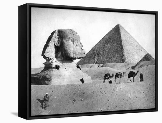 The Sphinx and Pyramid at Giza, Egypt, C1882-null-Framed Stretched Canvas