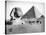The Sphinx and Pyramid at Giza, Egypt, C1882-null-Stretched Canvas