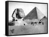 The Sphinx and Pyramid at Giza, Egypt, C1882-null-Framed Stretched Canvas