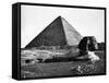 The Sphinx and the Pyramid of Cheops Standing in the Desert-null-Framed Stretched Canvas