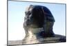 The Sphinx, Giza, Egypt, Period of Khafre, 4th Dynasty, 26th Century Bc-CM Dixon-Mounted Photographic Print
