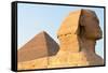 The Sphinx of Giza - Cairo, Egypt-demerzel21-Framed Stretched Canvas