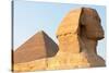 The Sphinx of Giza - Cairo, Egypt-demerzel21-Stretched Canvas