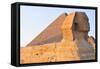 The Sphinx of Giza - Cairo, Egypt-demerzel21-Framed Stretched Canvas