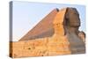 The Sphinx of Giza - Cairo, Egypt-demerzel21-Stretched Canvas