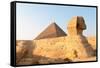 The Sphinx of Giza - Cairo, Egypt-demerzel21-Framed Stretched Canvas