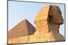 The Sphinx of Giza - Cairo, Egypt-demerzel21-Mounted Photographic Print