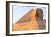 The Sphinx of Giza - Cairo, Egypt-demerzel21-Framed Photographic Print