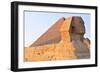 The Sphinx of Giza - Cairo, Egypt-demerzel21-Framed Photographic Print