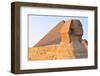 The Sphinx of Giza - Cairo, Egypt-demerzel21-Framed Photographic Print