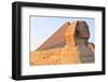 The Sphinx of Giza - Cairo, Egypt-demerzel21-Framed Photographic Print