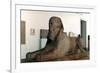 The Sphinx of the Queen Hatschepsut, 1450-null-Framed Giclee Print