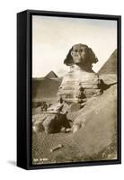 The Sphinx-null-Framed Stretched Canvas