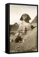 The Sphinx-null-Framed Stretched Canvas