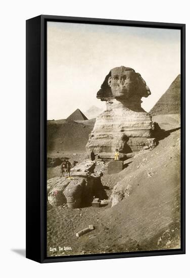 The Sphinx-null-Framed Stretched Canvas