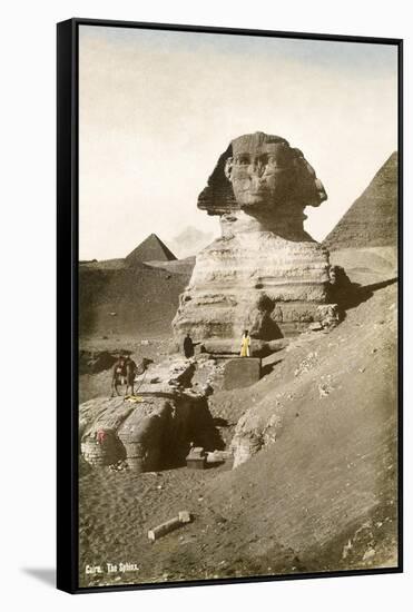 The Sphinx-null-Framed Stretched Canvas