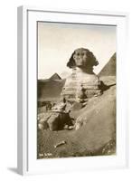 The Sphinx-null-Framed Art Print