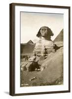 The Sphinx-null-Framed Art Print