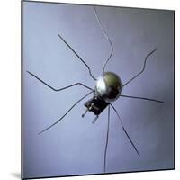 The Spider, 1996-Lawrie Simonson-Mounted Giclee Print