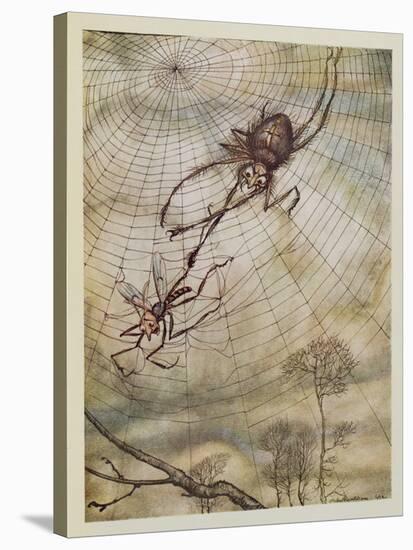 The Spider and the Fly, Illustration from 'Aesop's Fables', Published by Heinemann, 1912-Arthur Rackham-Stretched Canvas